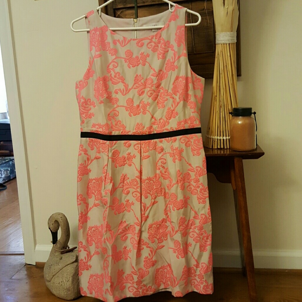 Beautiful LOFT dress